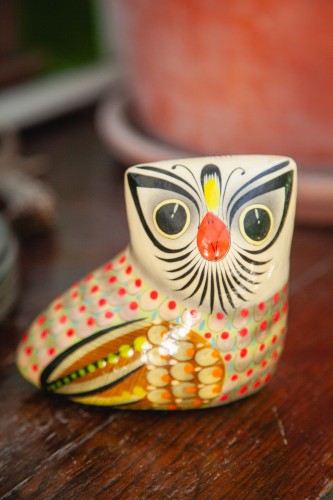IMG_4282.jpg