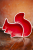 IMG_5180.png