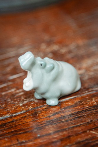 IMG_6408.jpg