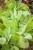 IMG_7670.jpeg