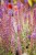 IMG_7711.jpeg