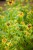IMG_7667.jpeg