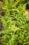 IMG_7657.jpeg