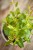 IMG_7635.jpeg