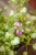 IMG_7703.jpeg