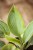 IMG_7726.jpeg