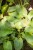 IMG_7673.jpeg