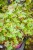 IMG_7684.jpeg