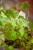 IMG_7682.jpeg