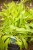 IMG_7734.jpeg