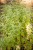 IMG_7664.jpeg