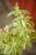 IMG_7663.jpeg
