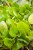 IMG_7676.jpeg
