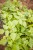 IMG_7737.jpeg