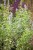 IMG_7692.jpeg