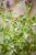IMG_7691.jpeg