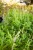 IMG_8069.jpeg