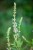 IMG_8067.jpeg