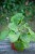 IMG_8038.jpeg