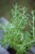 IMG_8082.jpeg