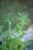 IMG_8078.jpeg