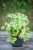 IMG_7993.jpeg