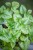 IMG_7994.jpeg