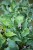 IMG_8090.jpeg