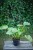 IMG_8007.jpeg