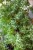 IMG_7977.jpeg