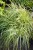 IMG_8023.jpeg