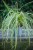 IMG_8025.jpeg