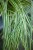 IMG_8026.jpeg
