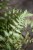 IMG_7970.jpeg