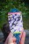 IMG_8086.jpeg