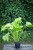 IMG_8003.jpeg