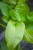 IMG_8004.jpeg