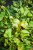 IMG_8046.jpeg