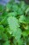 IMG_8044.jpeg