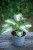IMG_8014.jpeg