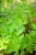 IMG_9065.jpeg