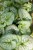 IMG_9050.jpeg