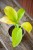 IMG_8976.jpeg
