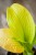IMG_8977.jpeg