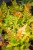 IMG_8921.jpeg