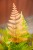 IMG_8920.jpeg