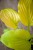 IMG_8943.jpeg