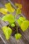 IMG_8942.jpeg