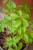 IMG_8887.jpeg