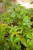 IMG_8891.jpeg